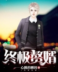 终级赘婿