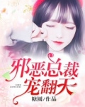 邪恶总裁深入宠全文,免费阅读