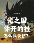 光之国啥意思