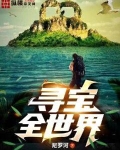 寻宝全世界张景纵横