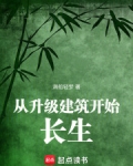 升级建筑类小说