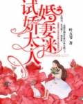 傲娇总裁的试婚娇妻