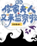 小说司令夫人