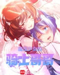 魔法少女的骑士哥哥免费阅读全文
