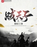 贼天子地图