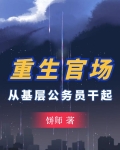 重生官场从基层公务员干起,饼师
