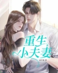重生小夫妻TXT免费下载