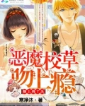 恶魔校草缠上我 小说