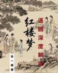 红楼梦40～60回