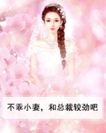 不乖小妻,和总裁较劲吧