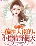 重生后,偏执大佬的小撩精野翻天