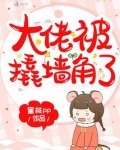 被大佬抢了老婆之后免费阅读