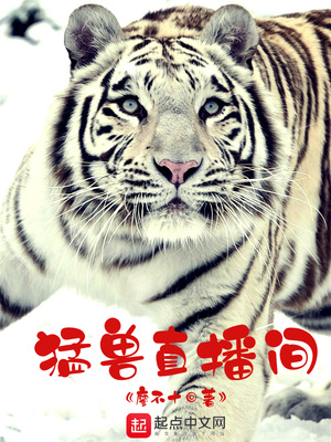 猛兽直播间女主