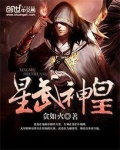 星武神皇 小说