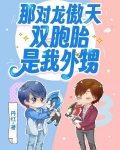 当我收养那对龙傲天双胞胎外甥后
