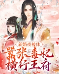 新婚当天被休高兴离开王爷
