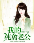 小说我的纯禽老公