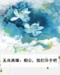 相公无耻小说免费阅读全集