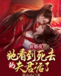 新婚夜,她看到死去的夫君活了 寒小小