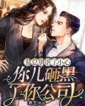 小说慕总