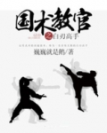国术教官之白刃高手 小说