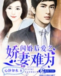 闪婚后爱之娇妻难为下载