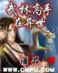 武林高手在异界完本txt