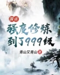 国运:小说