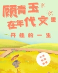穿越年代文:开局爹妈就离婚小说